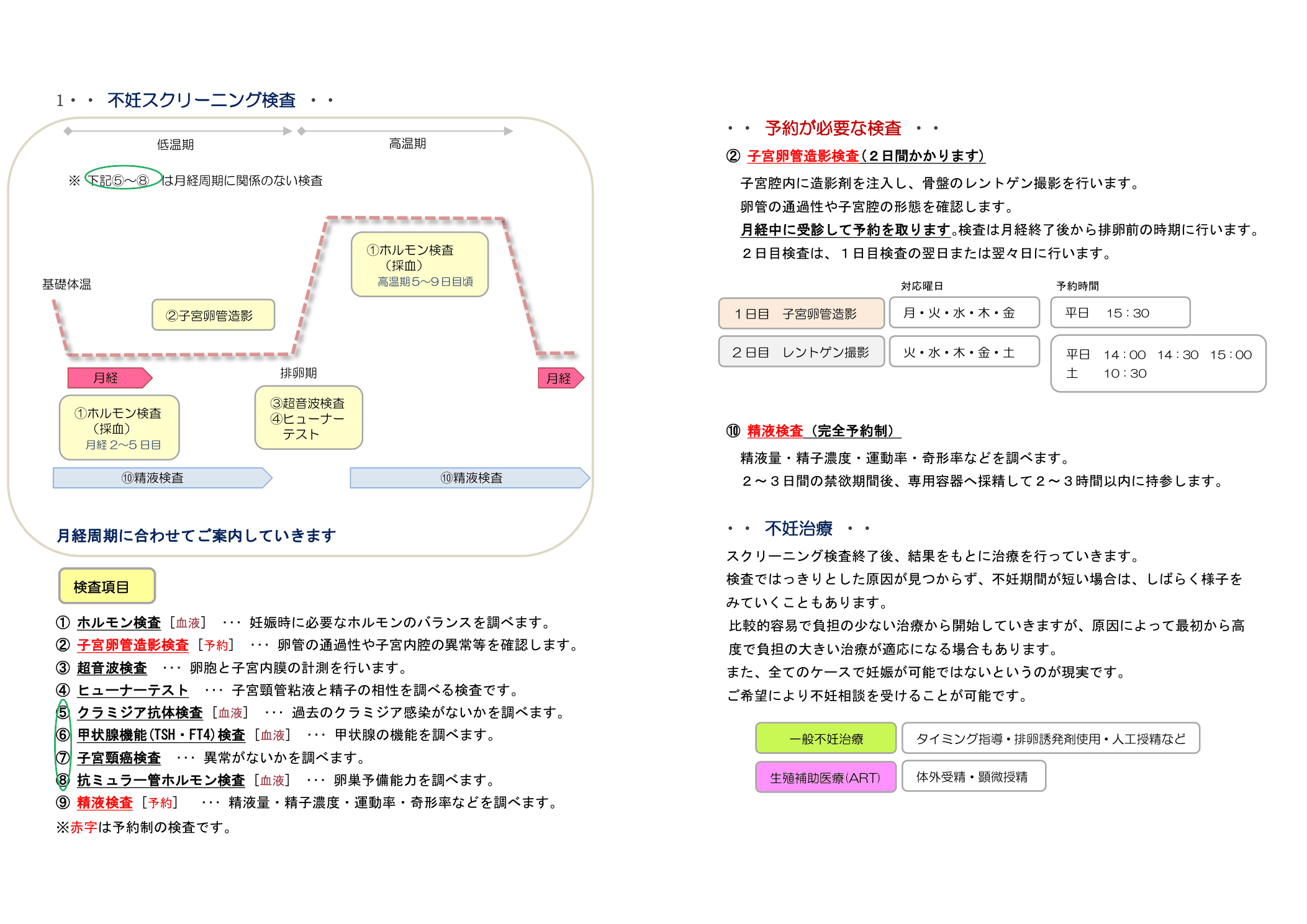 不妊スクリーニング検査のスケジュール目安